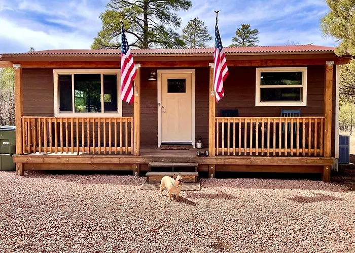 Cozy 2br Updated In The Pines, Happy Jack