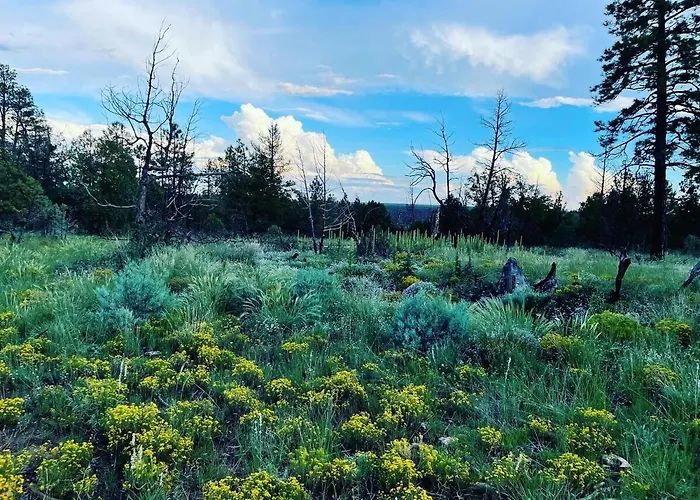 Cozy 2br Updated In The Pines, Holiday home *