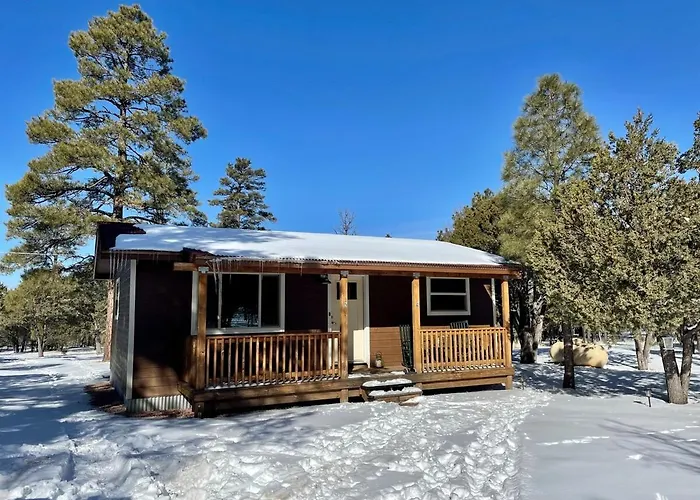 Cozy 2br Updated In The Pines, *