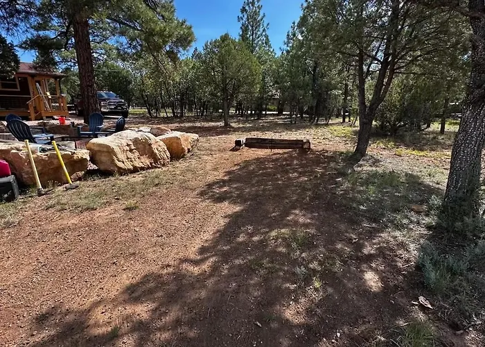 Cozy 2br Updated In The Pines, *