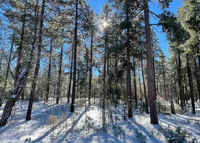 Cozy 2br Updated In The Pines, Holiday home Happy Jack