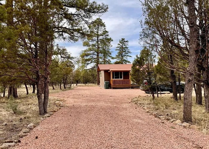 Cozy 2br Updated In The Pines, Happy Jack